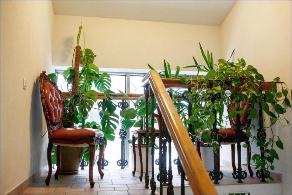 Apartment Senamiescio Inkaras ไคลเพดา ภายนอก รูปภาพ